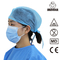 3ply het medische Masker van soorten van het Virusbeveiligingmasker Beschikbare Blauwe
